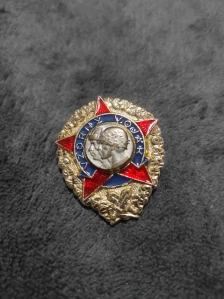 Odznak Vzorný Voják 