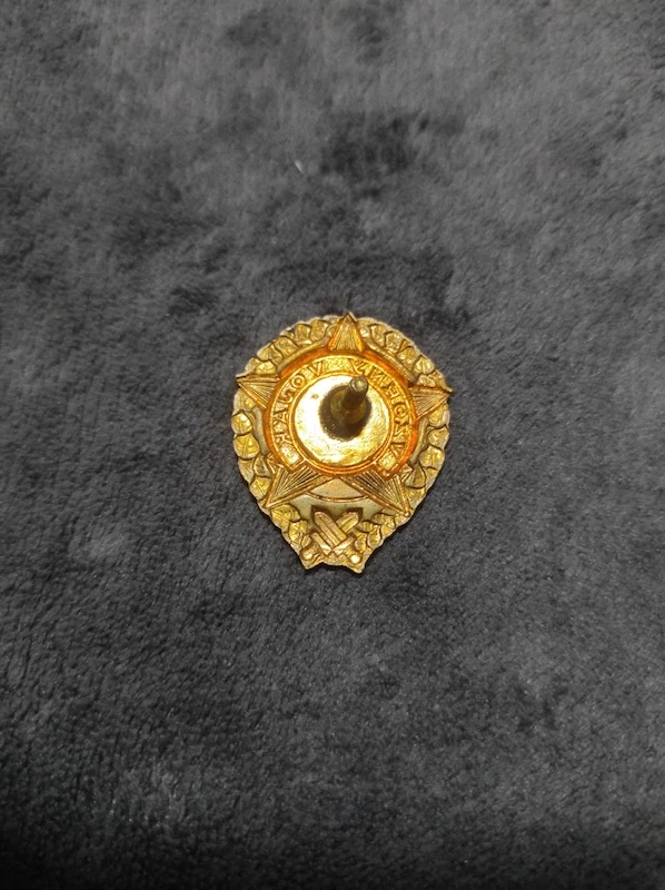 Odznak Vzorný Voják 