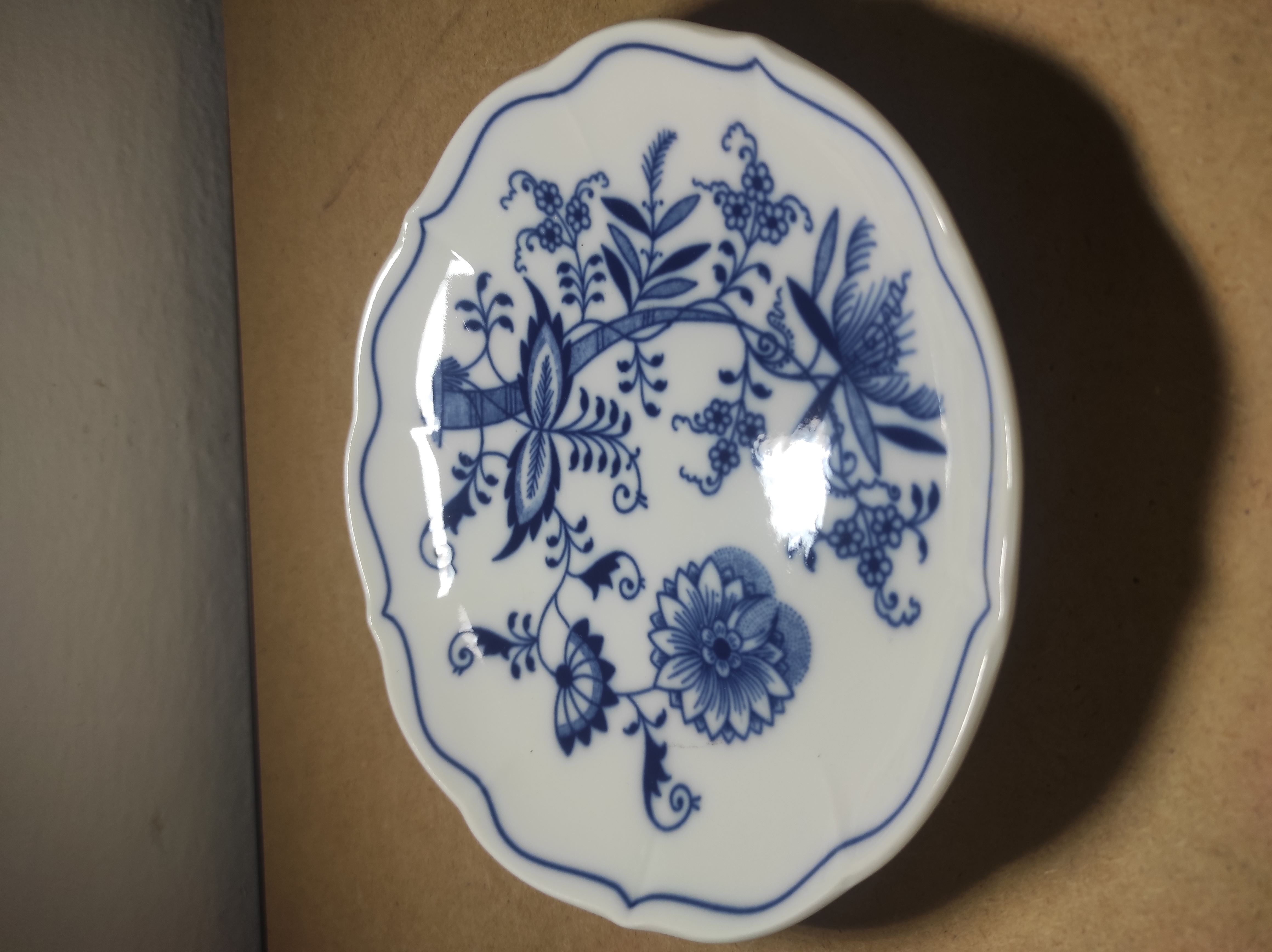 Talířek cibulák Dubí 