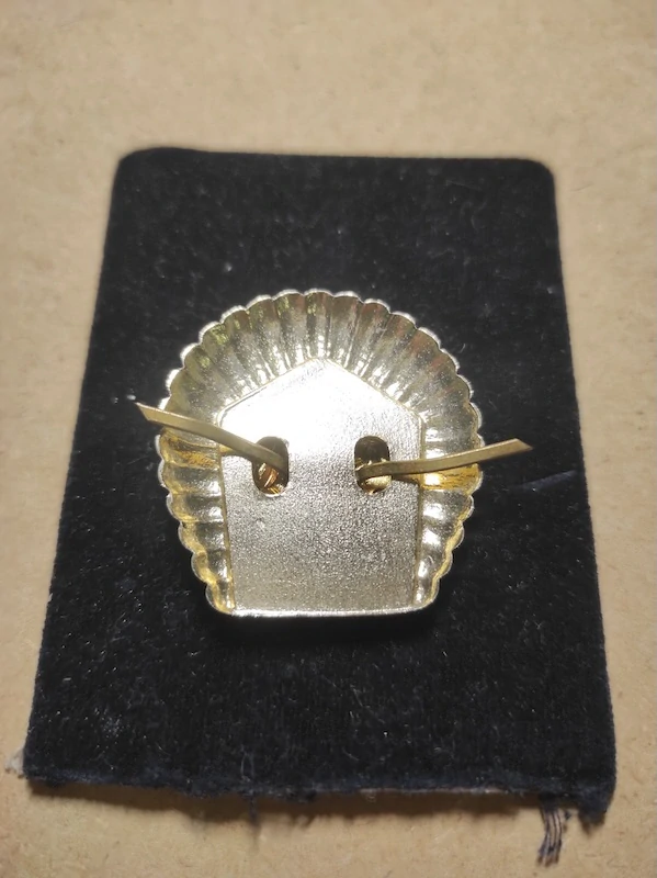 Vojenský čepicový odznak 