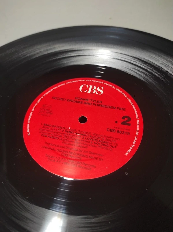 Bonnie Tyler - Dreams And Forbidden Fire 