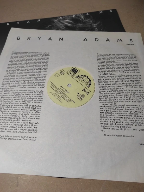 Bryan Adams - Reckless