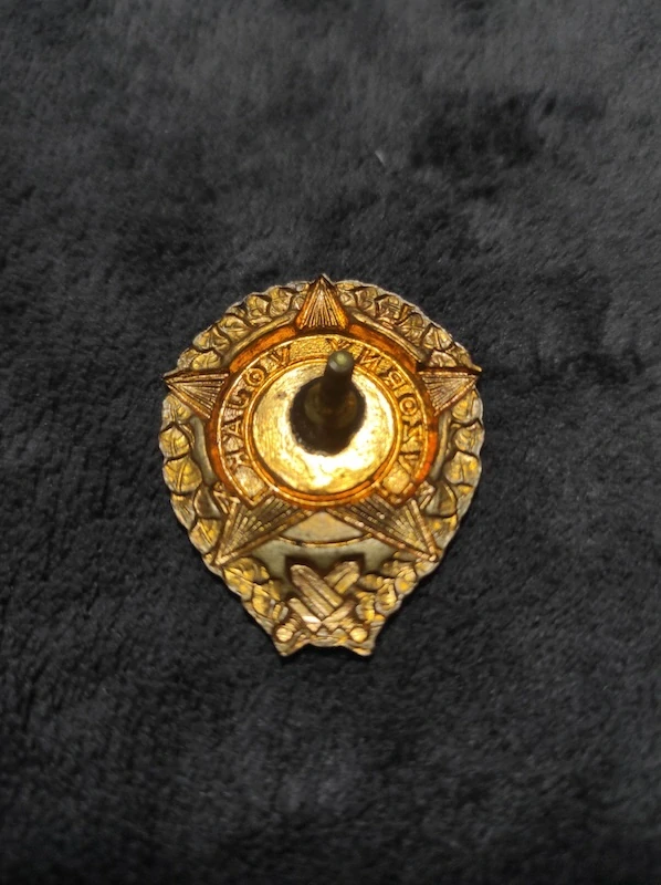 Odznak Vzorný Voják 