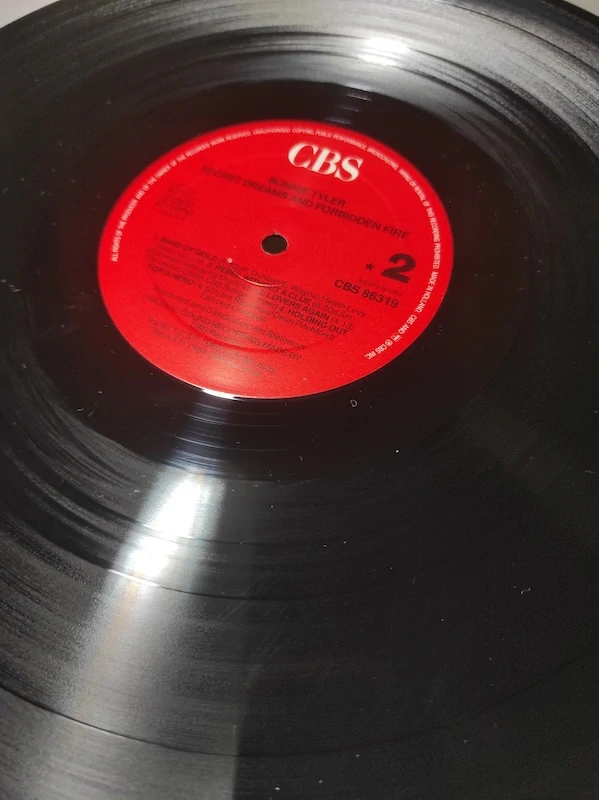 Bonnie Tyler - Dreams And Forbidden Fire 