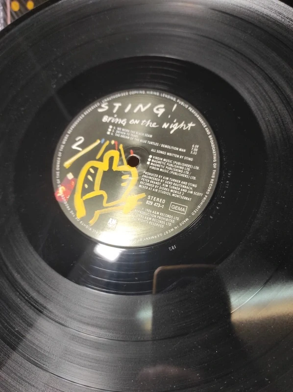 Sting - Bring on the night 