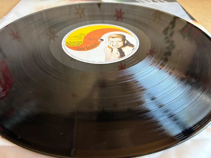 Iveta Bartošová – TOP 13 LP