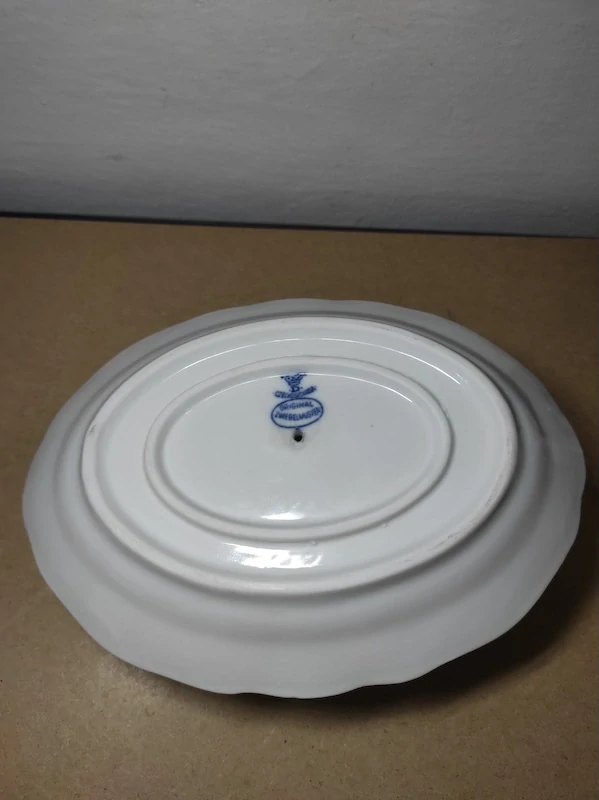 Cibulák Dubí - velký omáčník 