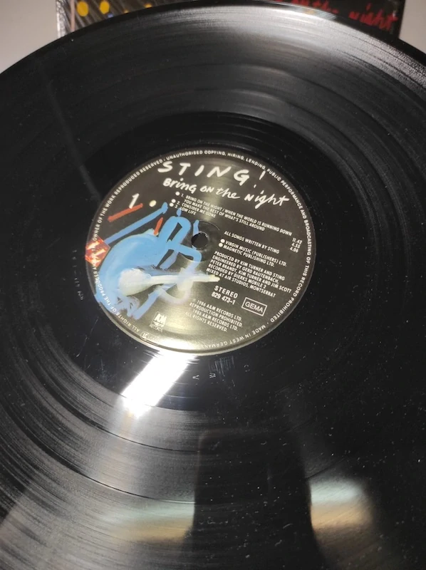 Sting - Bring on the night 