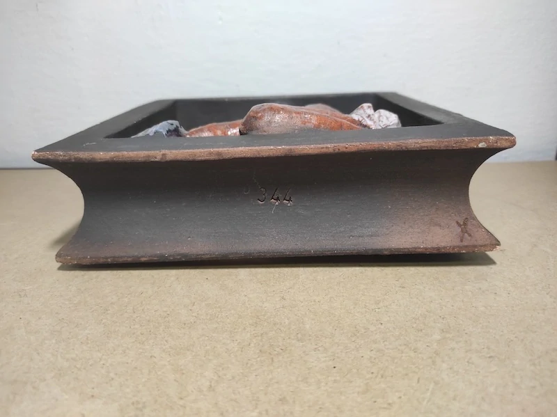 Znamení Vodnáře - Vladimír David 