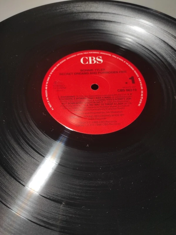 Bonnie Tyler - Dreams And Forbidden Fire 