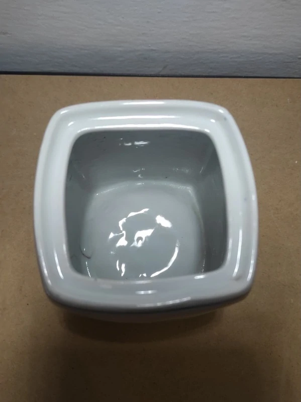 Velká dóza cibulák - NUDLE