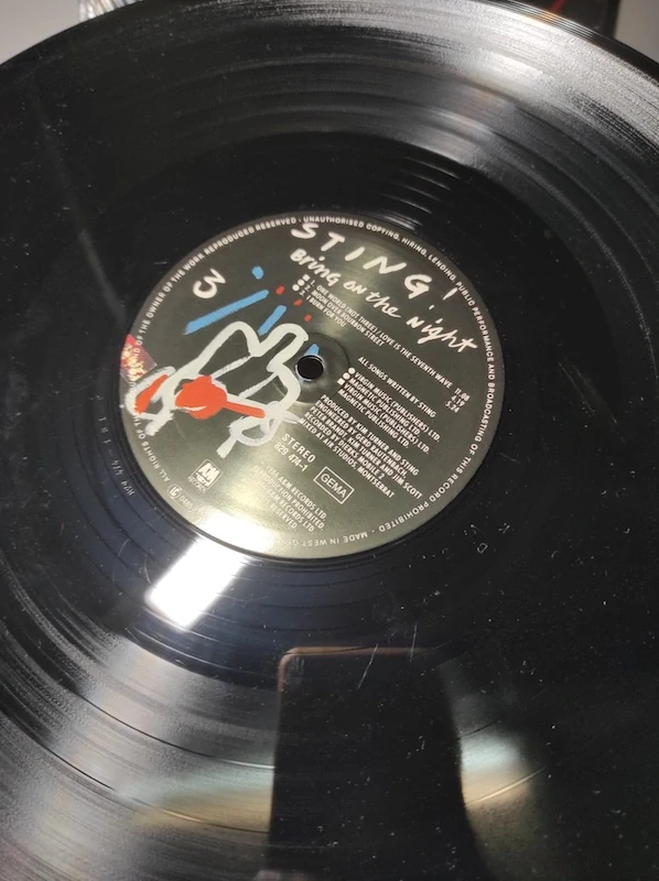 Sting - Bring on the night 